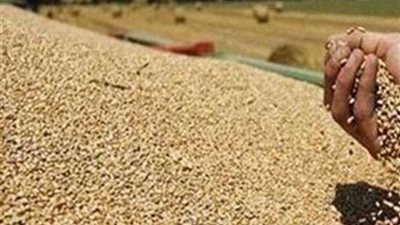 القضاء الإداري يقضي بوقف استيراد القمح الروسي