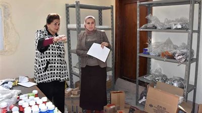 محافظ البحيرة: 