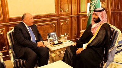 شكري ينقل رسالة شفهية من الرئيس السيسي إلى الملك سلمان