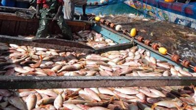 توقيع أول شراكة مصرية موريتانية لصيد وتصنيع الأسماك