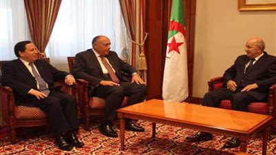 اجتماع ثلاثي لوزراء خارجية مصر والجزائر وتونس حول ليبيا.. اليوم