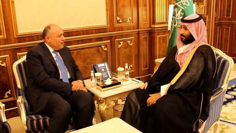 شكري ينقل رسالة شفهية