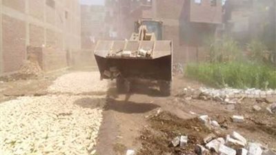 إزالة 30 حالة تعدٍ على الأرض الزراعية بالمنيا