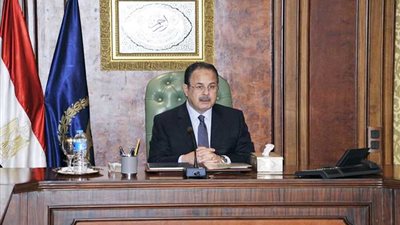 عبدالغفار للسفير الإيطالي: سنكشف تفاصيل مقتل ريجيني