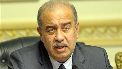 إسماعيل يلتقي رئيس البرلمان المجري