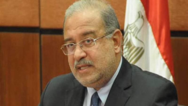 رئيس الوزراء يستعرض