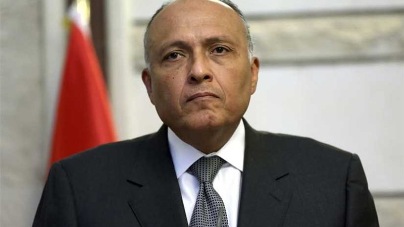 إعلان القاهرة: دعم