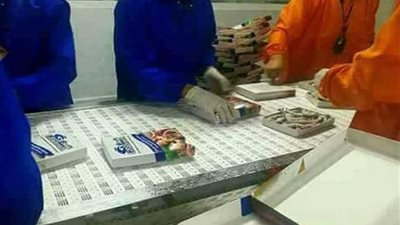 بالصور ..تعرف على 13 معلومة عن مشروع الاستزراع السمكى