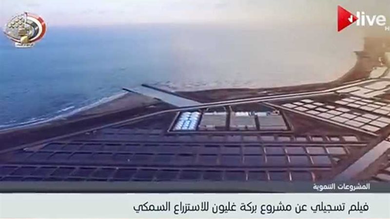 السيسي يشاهد فيلما