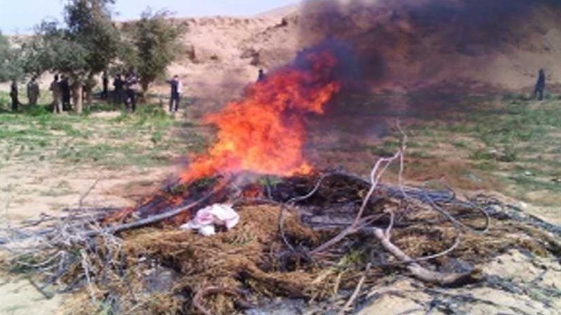 إبادة 5 أفدنة منزرعة