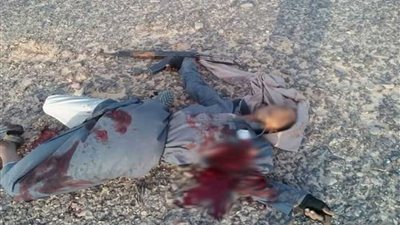 الجيش يقتل قياديا تكفيريا ويضبط 18 آخرين بسيناء