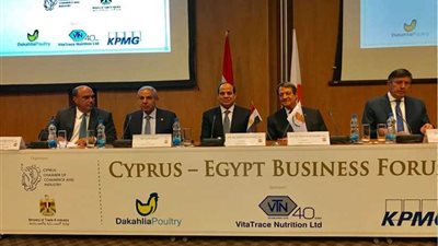 قابيل: دعم كبير من القيادة السياسية لتطوير العلاقات الاقتصادية بين مصر وقبرص