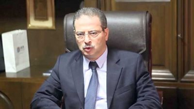 الدسوقي: ربط كهربائي بين مصر وقبرص واليونان