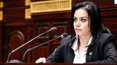 سيلفيا نبيل: متابعة الوزارات لتنفيذ رؤية مصر 2030