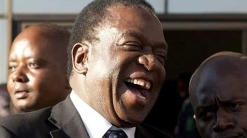 التمساح يستعد لخلافة