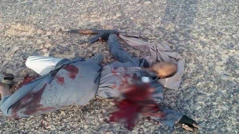 الجيش يقتل قياديا