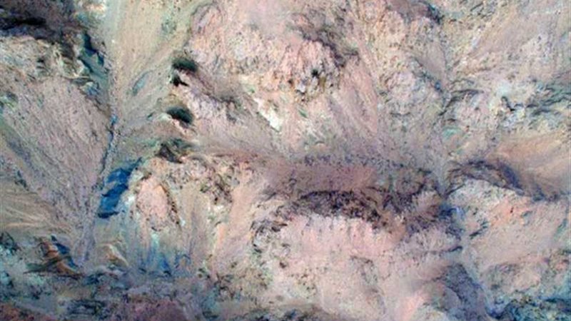 في المدينة المنورة..