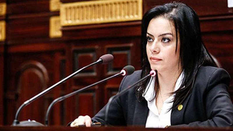 سيلفيا نبيل: متابعة