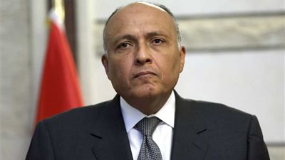 شكري: ما استخدمته مصر من مياه من حصة السودان ليس سلفة أو منحة