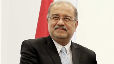 رئيس الوزراء يلتقي وفدا من كبري الشركات الهندية