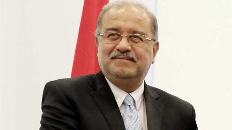 رئيس الوزراء يلتقي