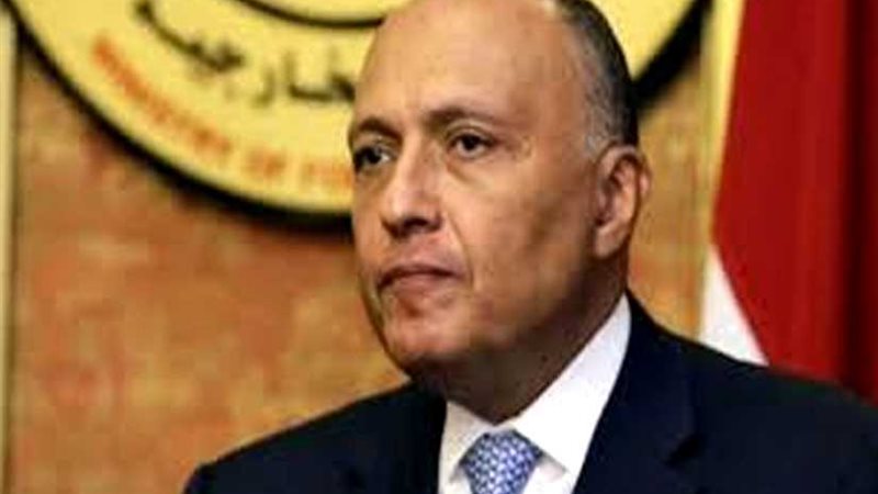 شكري: مصر ستعود لدورها