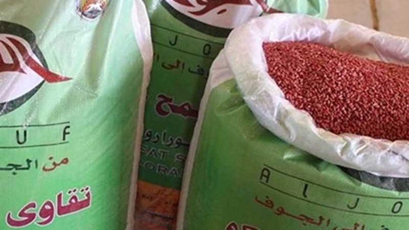 رئيس مركز المنيا