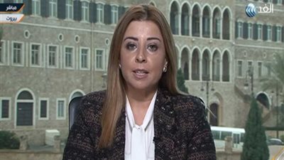 الخارجية اللبنانية: داعمون لمصر في حربها ضد الإرهاب (فيديو)