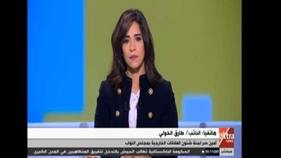 طارق الخولي: حادث الروضة يهدف لتحويل مصر إلى ساحة حرب