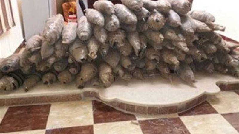 مكافحة المخدرات تضبط