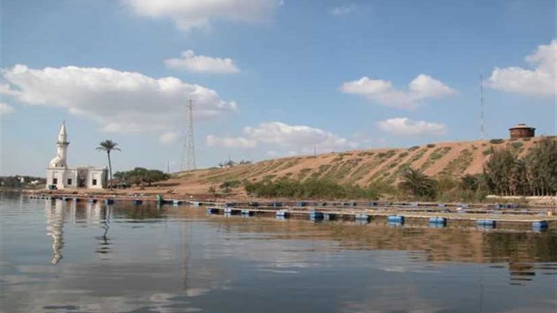 رشيد الساحرة.. بدأت