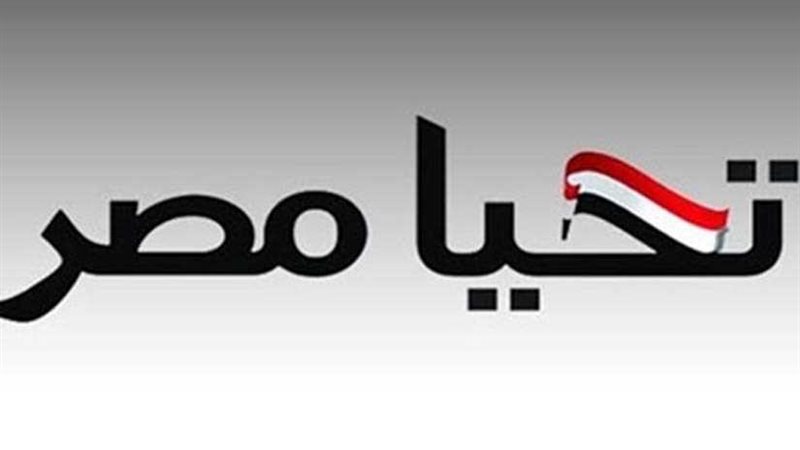 «صندوق تحيا مصر»: