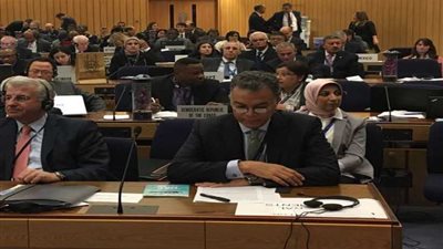 عرفات ومميش ينجحان في إقناع الخطوط الملاحية بالعودة لمصر