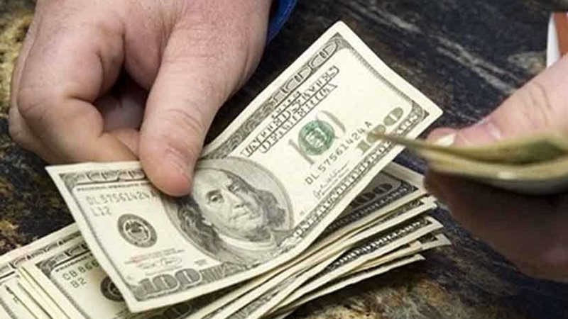 سقوط تاجر عملات المحمودية