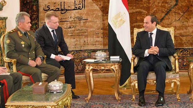 السيسي يلتقي وزير