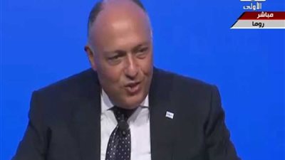 وزير الخارجية: نحن شعب متسامح ومصر ملاذ آمن للسائحين ونتطلع لزيادة أعدادهم