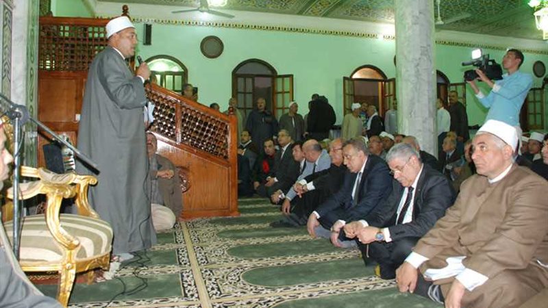 محافظ الجيزة يشارك