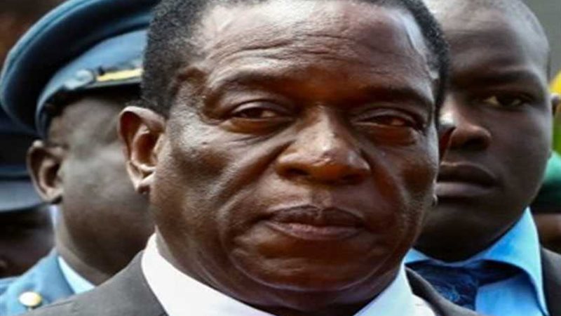 رئيس زيمبابوي يعين