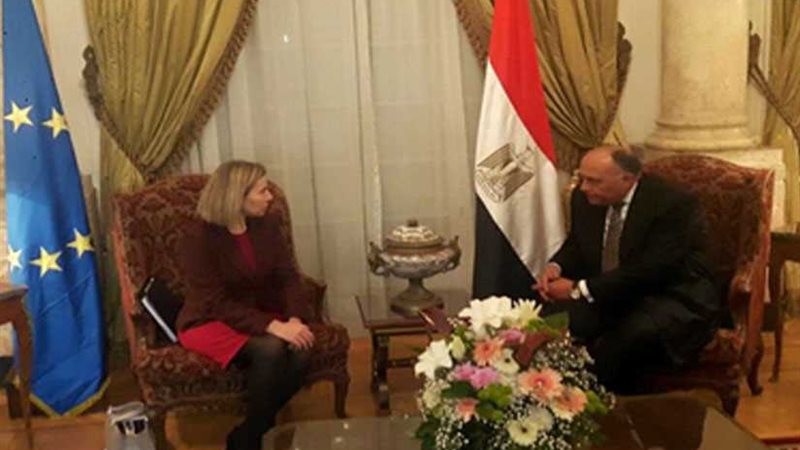 شكرى يبحث مع موجريني