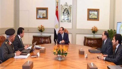 السيسي: ضرورة الاستعانة بالخبرة الأجنبية في تطوير التعليم الجامعي والبحث العلمي