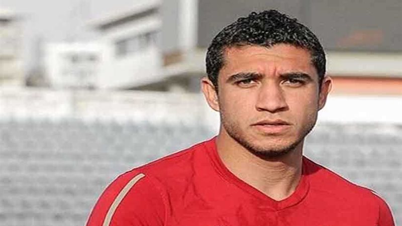 ربيعة تحت ميكروسكوب