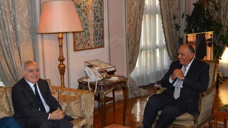 شكري يبحث آخر تطورات