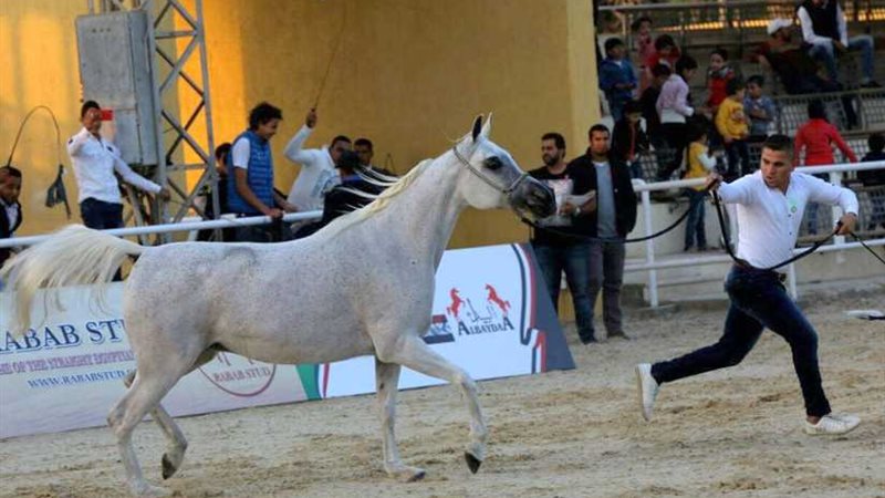 عمر المغاوري يسلم