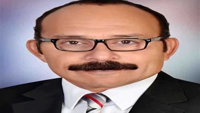 ثورة جديدة في عالم مواد البناء تنطلق من قلب الصعيد