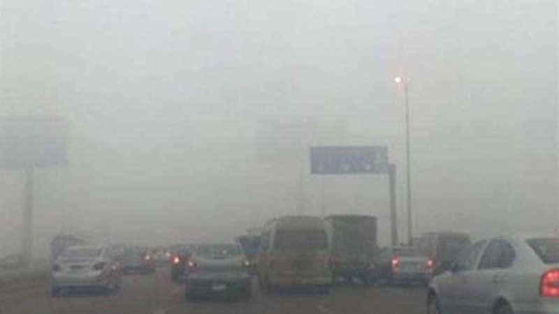 بالفيديو| تعرف على