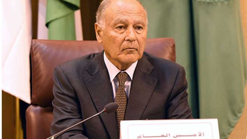 أبو الغيط: سياسة