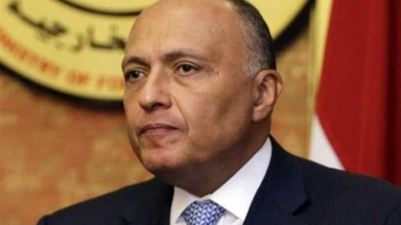 شكري ونظيره الفرنسي