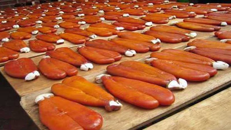 بالصور.. إقبال كبير