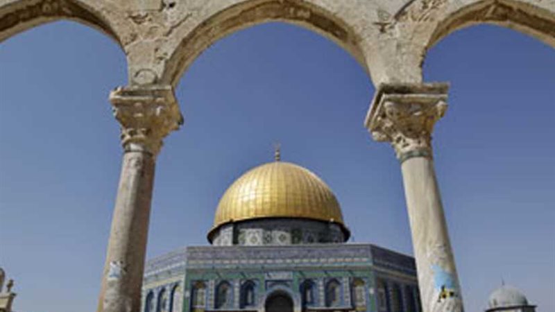 سفير فلسطين بالقاهرة: