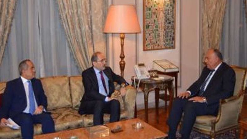 شكري ونظيره الأردني